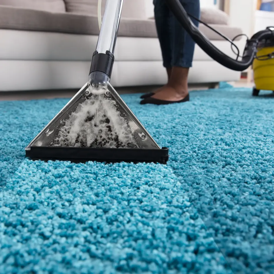 Gallery image 11 — vinyl cleaning Elgin