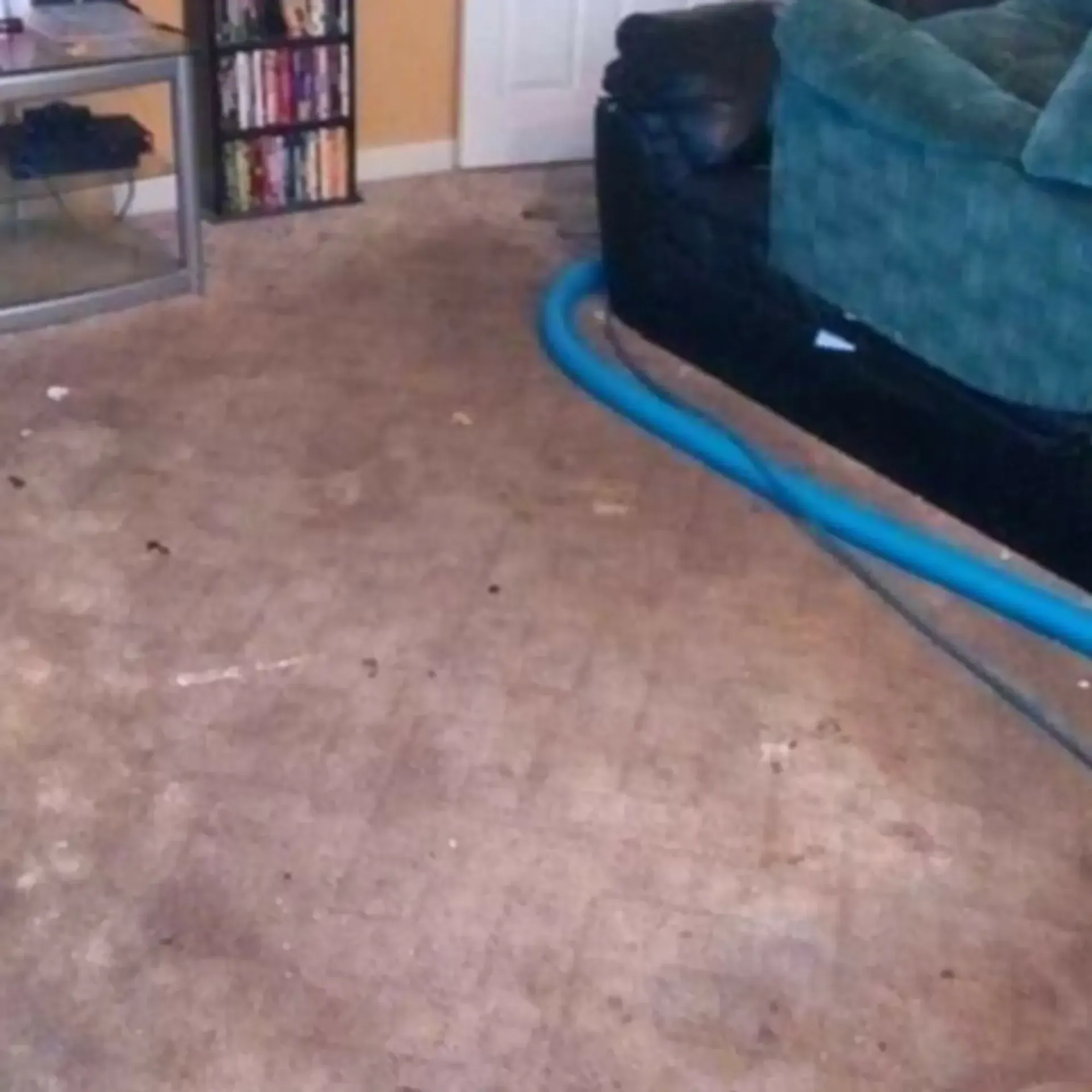 Gallery image 1 — vinyl cleaning Elgin