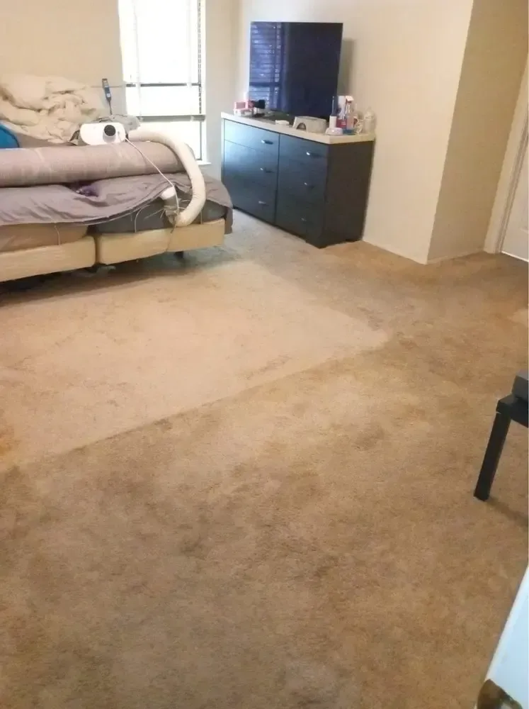 Gallery image 7 — vinyl cleaning Elgin