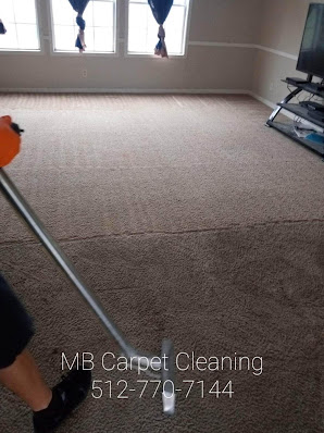 Gallery image 9 — vinyl cleaning Elgin