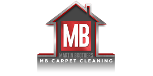 Gallery image 15 — vinyl cleaning Elgin