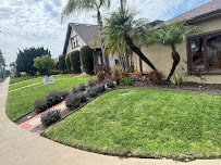 Gallery image 7 — commercial landscaping near me