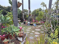 Gallery image 2 — commercial landscaping near me