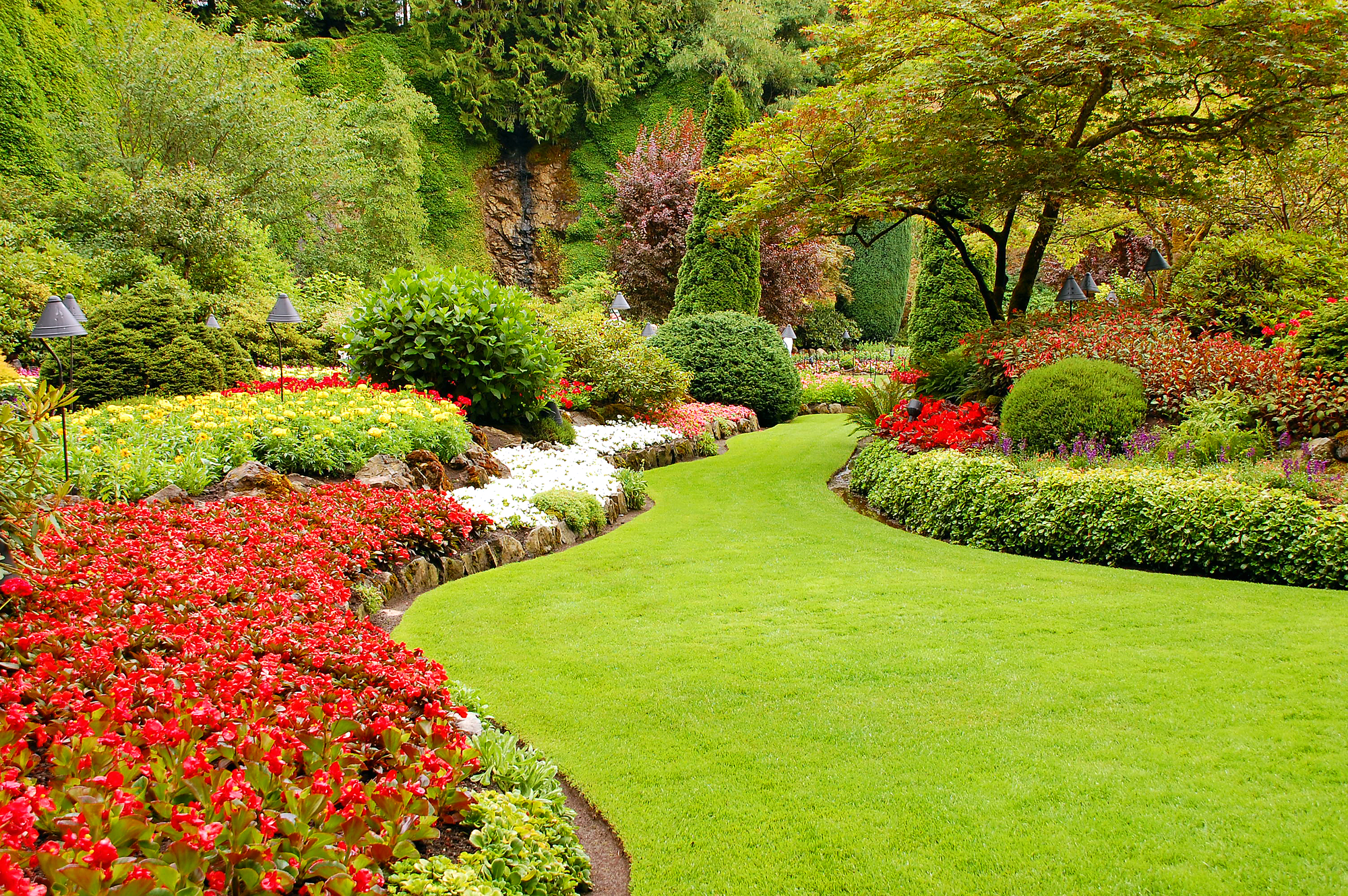 Gallery image 3 — commercial landscaping near me