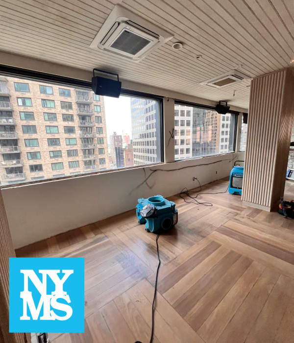 Gallery image 10 — post mold remediation clearance Manhattan