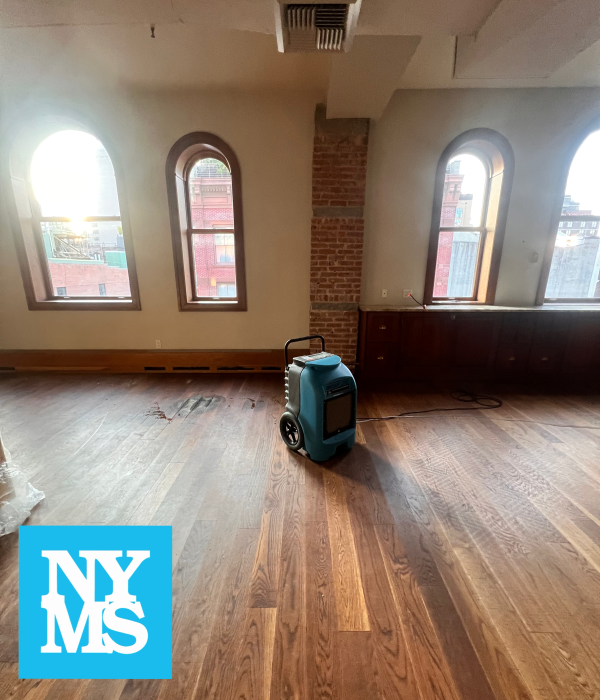 Gallery image 4 — post mold remediation clearance Manhattan
