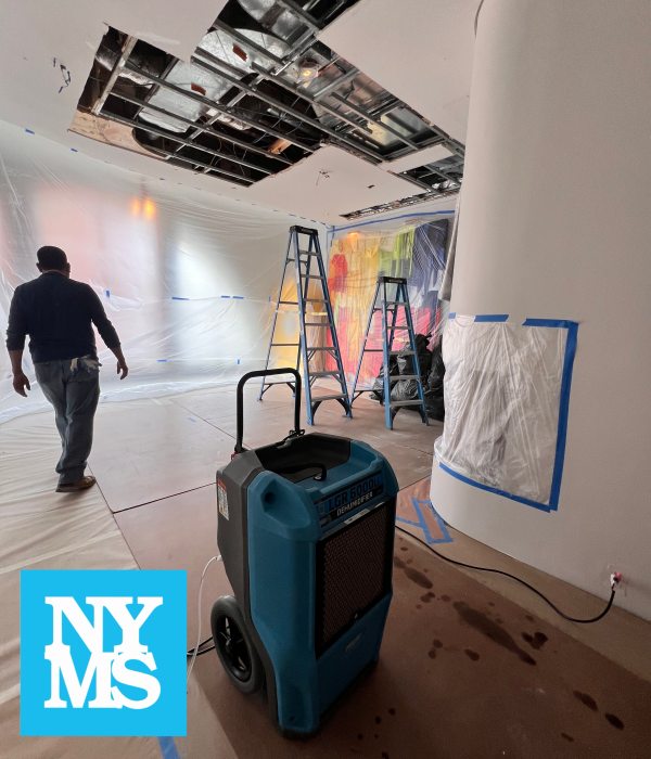 Gallery image 7 — post mold remediation clearance Manhattan