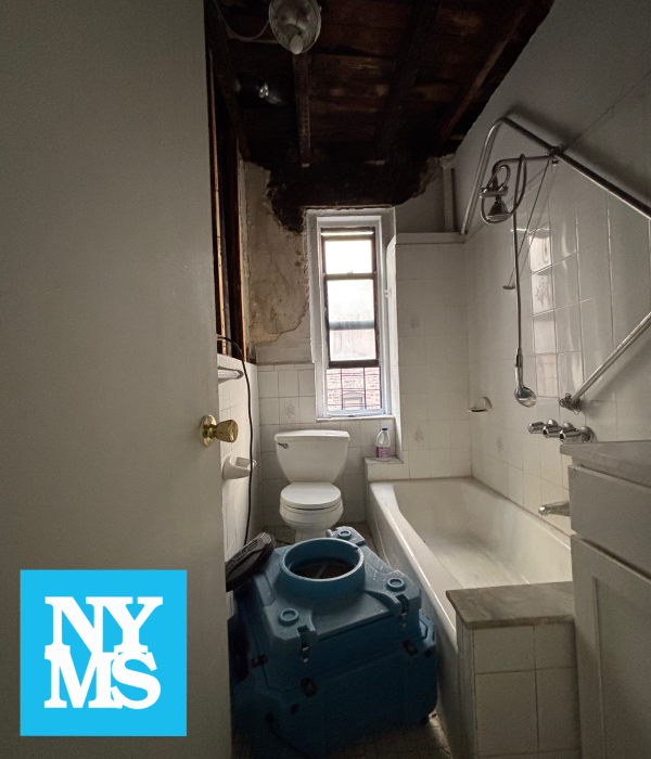 Gallery image 6 — post mold remediation clearance Manhattan