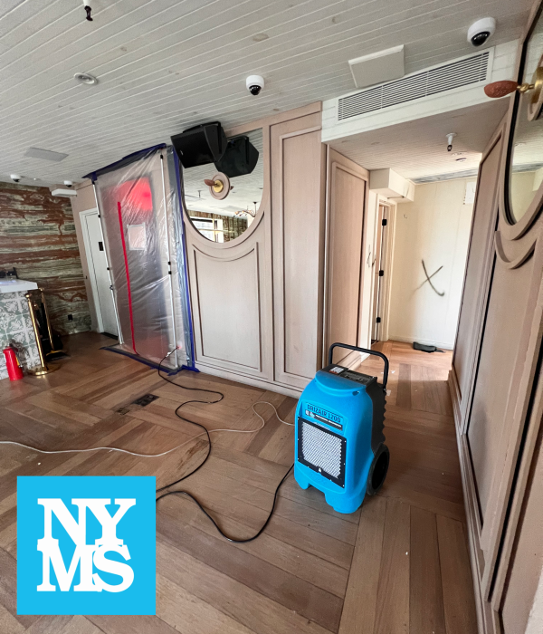 Gallery image 9 — post mold remediation clearance Manhattan