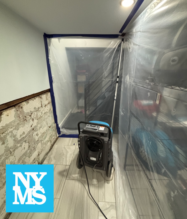 Gallery image 8 — post mold remediation clearance Manhattan