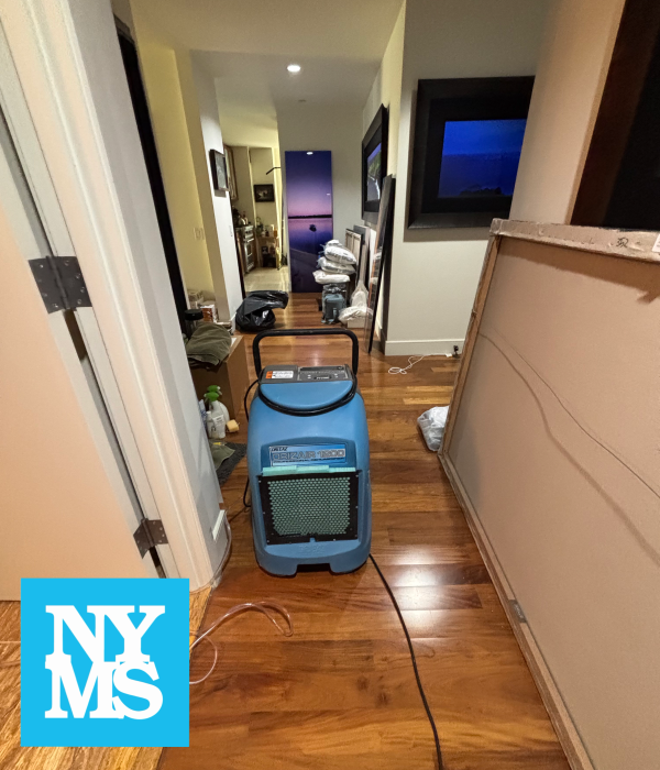 Gallery image 3 — post mold remediation clearance Manhattan