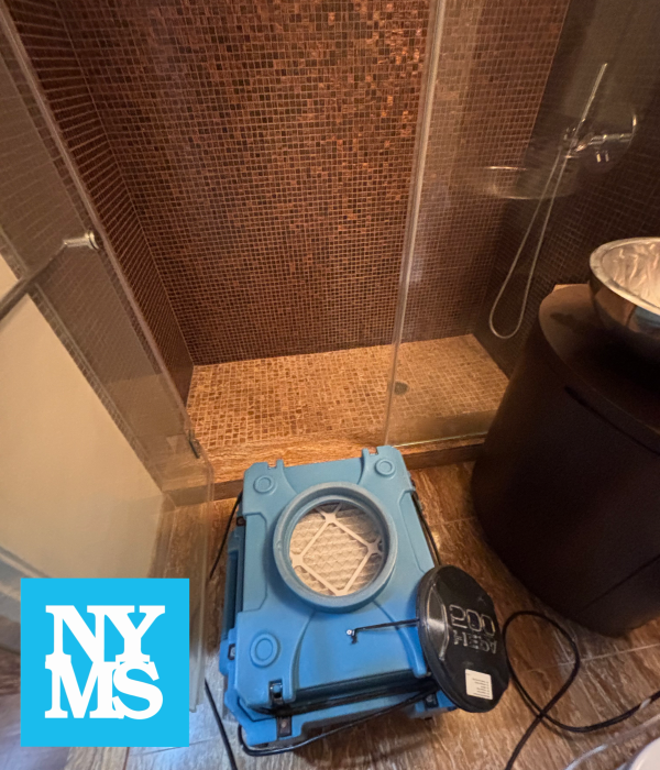About post mold remediation clearance Manhattan