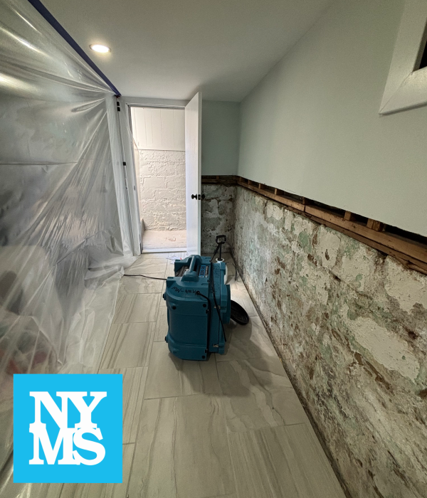 Gallery image 2 — post mold remediation clearance Manhattan