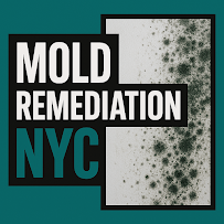Gallery image 7 — best mold removal company Staten Island