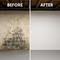 Gallery image 4 — best mold removal company Staten Island