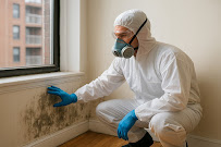Gallery image 5 — best mold removal company Staten Island