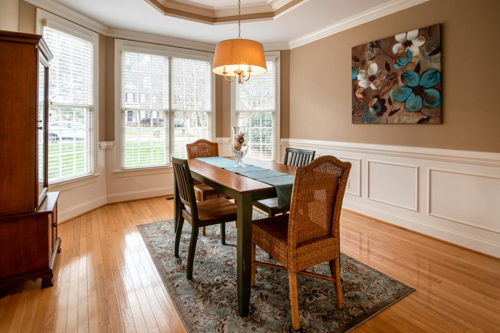 best mold removal company Staten Island