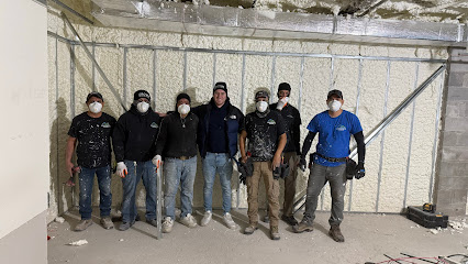 About best mold removal company NYC