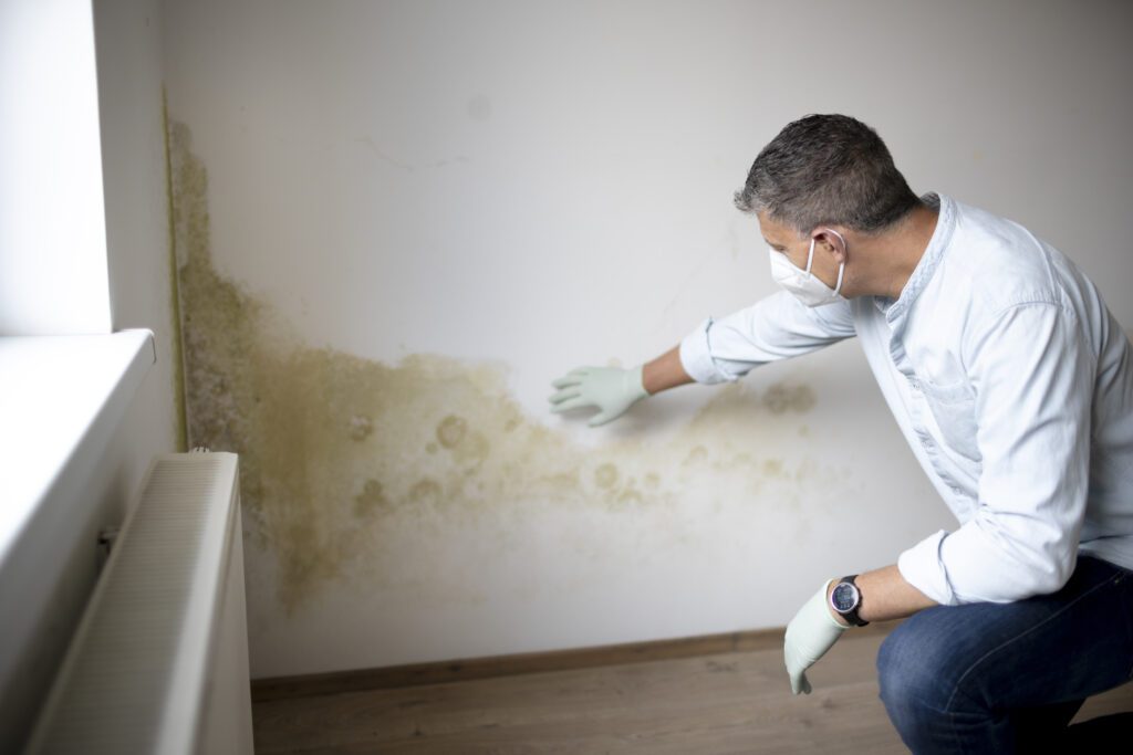 best restoration company in New York