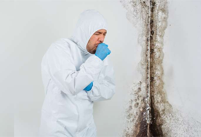 water damage restoration New York City