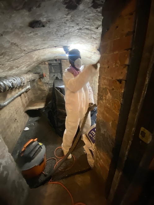 Gallery image 6 — commercial mold inspection Manhattan