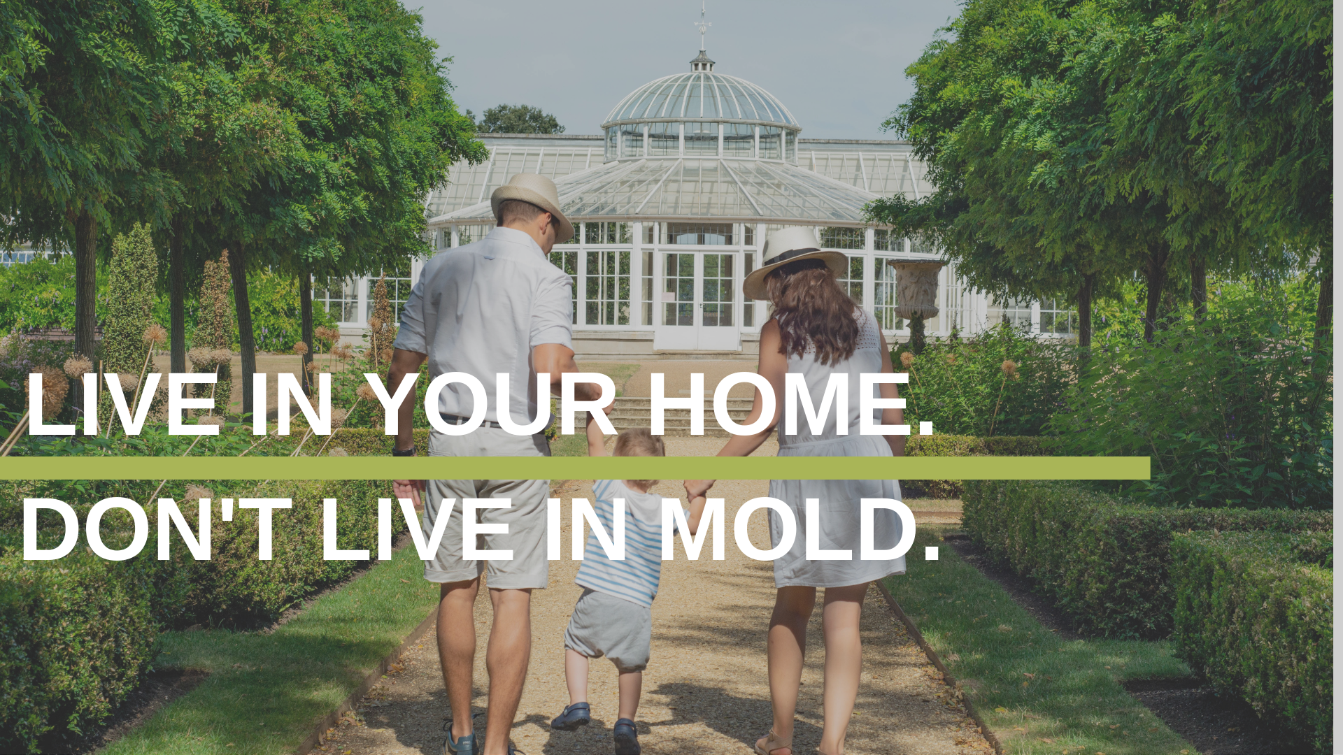 home mold inspection near me