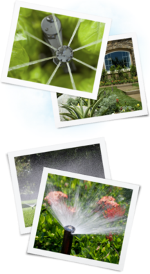 Gallery image 5 — outdoor plumbing repair Lake Las Vegas