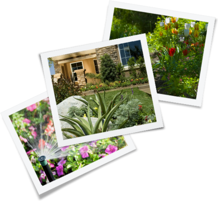 About outdoor plumbing repair Lake Las Vegas