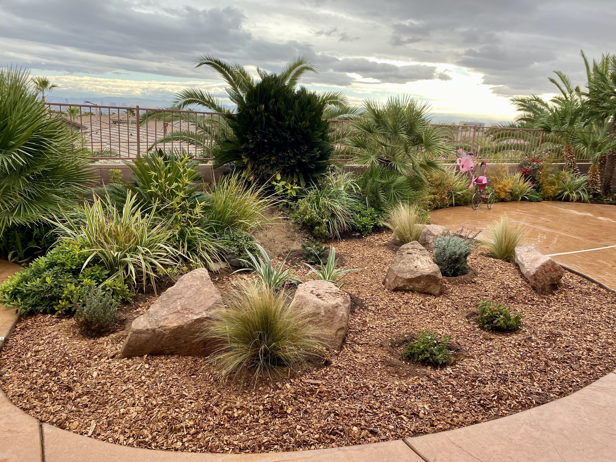 Gallery image 2 — affordable landscaper Northwest Las Vegas