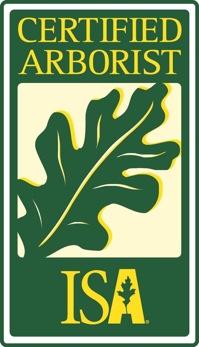 About affordable landscaper Northwest Las Vegas