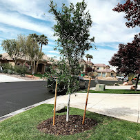 Gallery image 7 — affordable landscaper Northwest Las Vegas