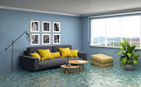 Gallery image 2 — chronic inflammatory response syndrome treatment My Mold Removal NYC