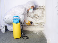 Gallery image 5 — chronic inflammatory response syndrome treatment My Mold Removal NYC