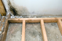 Gallery image 1 — chronic inflammatory response syndrome treatment My Mold Removal NYC