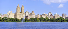 Gallery image 4 — chronic inflammatory response syndrome treatment My Mold Removal NYC