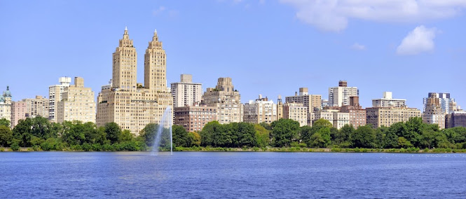 mold toxicity specialist near me