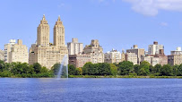 Gallery image 3 — chronic inflammatory response syndrome treatment My Mold Removal NYC
