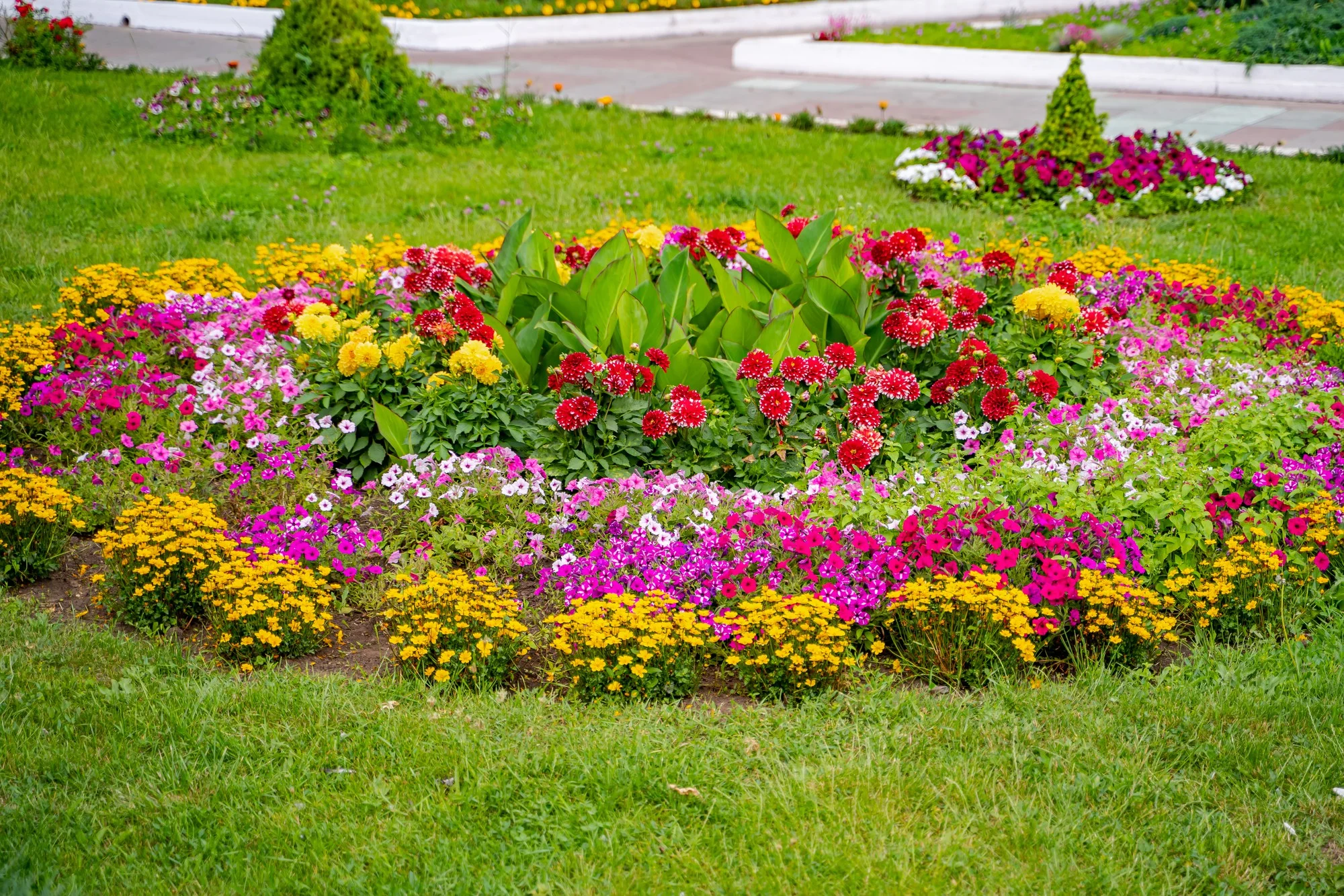 Gallery image 1 — best landscape contractor in North Las Vegas