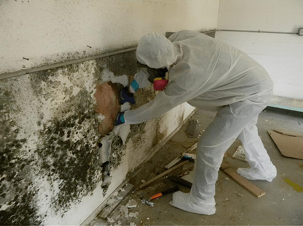 Gallery image 28 — residential mold testing Manhattan