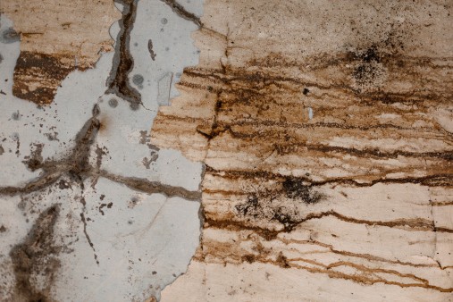 Gallery image 15 — residential mold testing Manhattan