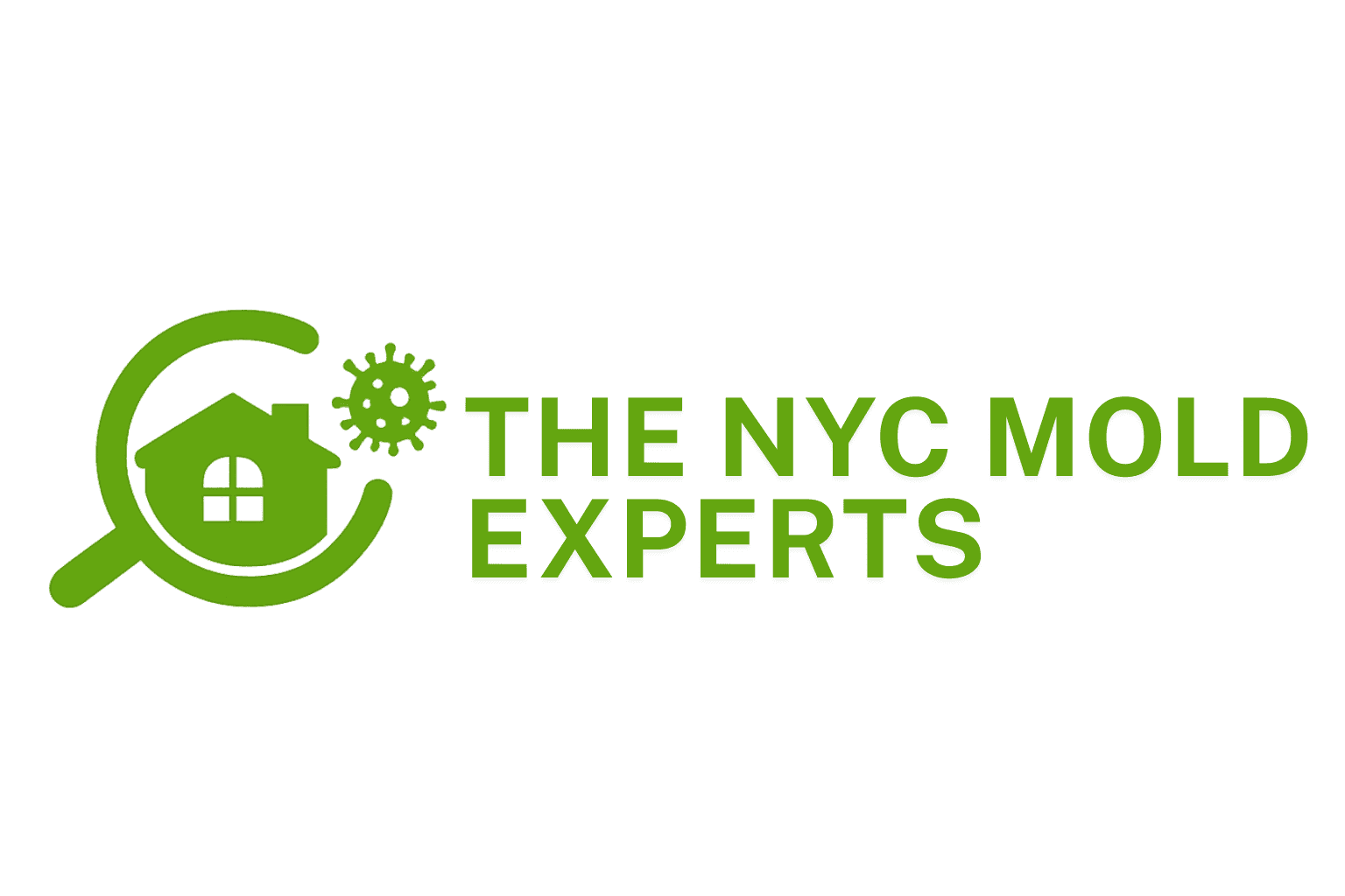 local mold experts near me