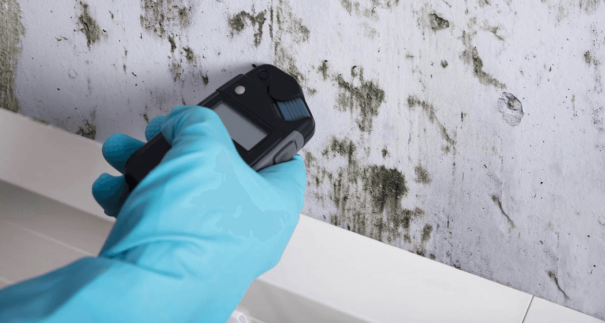 Gallery image 24 — residential mold testing Manhattan