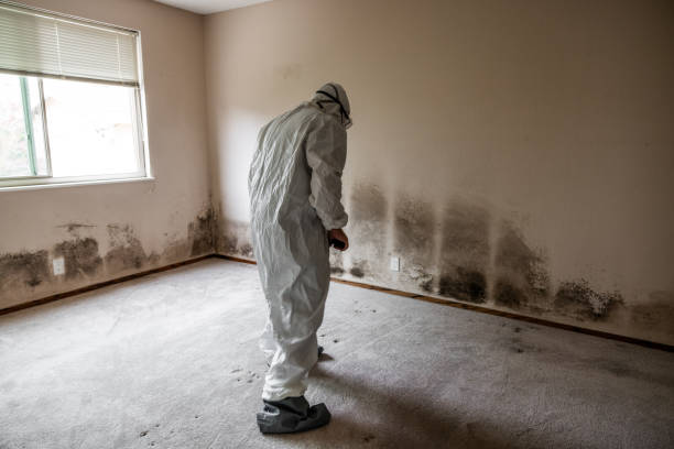 About residential mold testing Manhattan