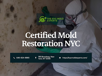 Gallery image 3 — residential mold testing Manhattan