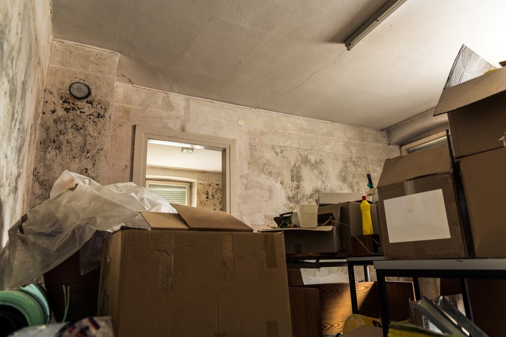 Gallery image 30 — residential mold testing Manhattan