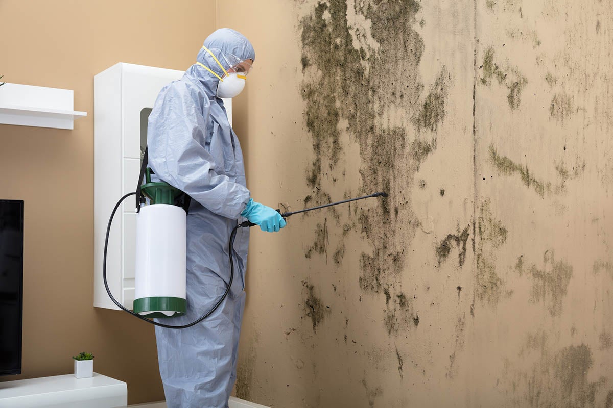 residential mold testing Manhattan
