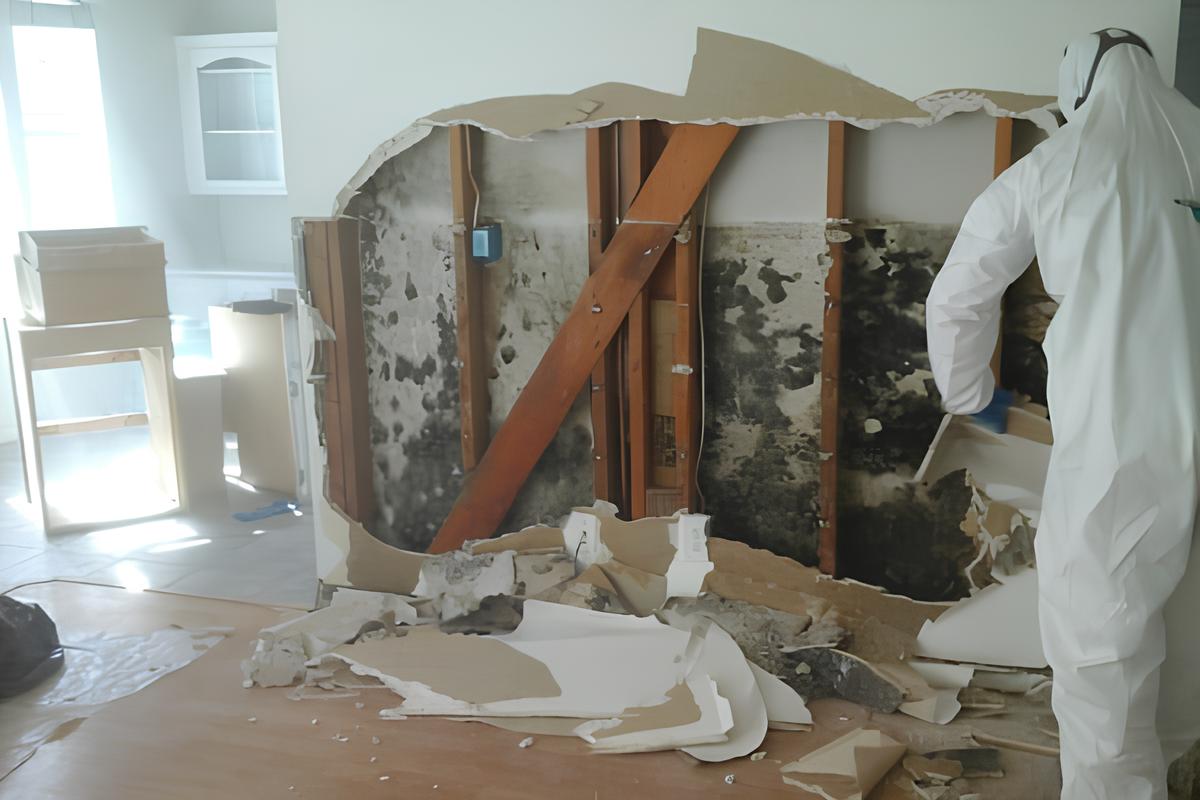 Gallery image 10 — residential mold testing Manhattan