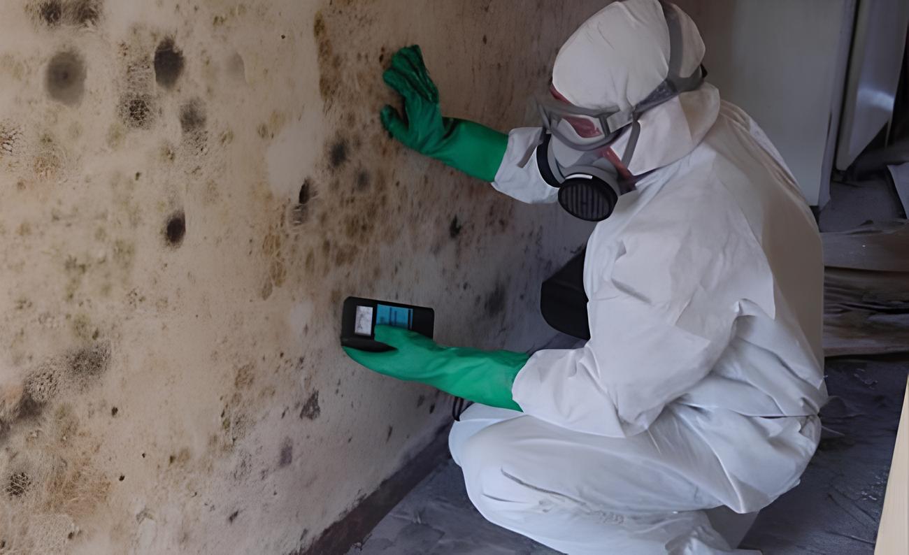 Gallery image 7 — residential mold testing Manhattan