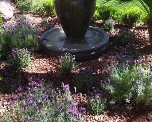 Gallery image 9 — insured landscaping services near me