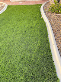 Gallery image 12 — insured landscaping services near me